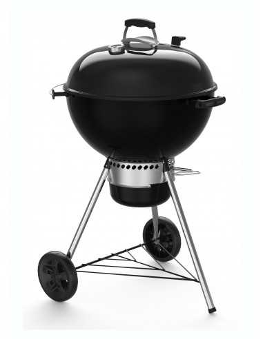 Support de cuisson poulet Weber GBS