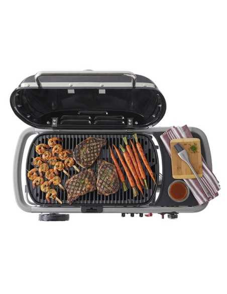 BARBECUE GAZ TRAVELER COMPACT - WEBER