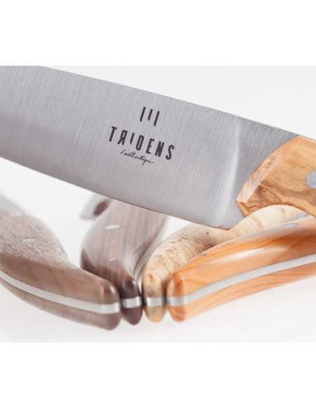 ENSEMBLE NEPTUNE FOURCHETTE + COUTEAU OLIVIER - TRIDENS