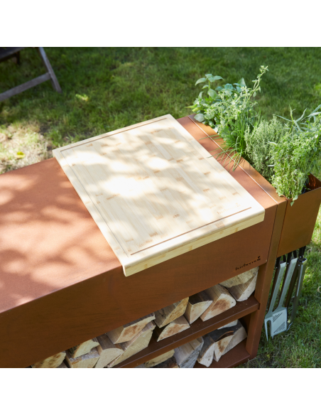 PLANCHE A DECOUPER POUR NESTOR - BARBECOOK