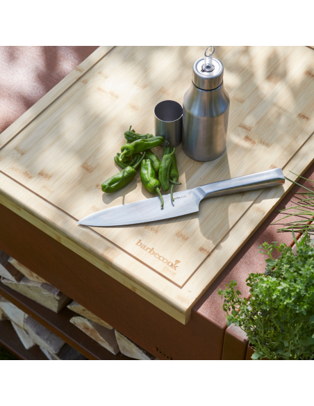 PLANCHE A DECOUPER POUR NESTOR - BARBECOOK