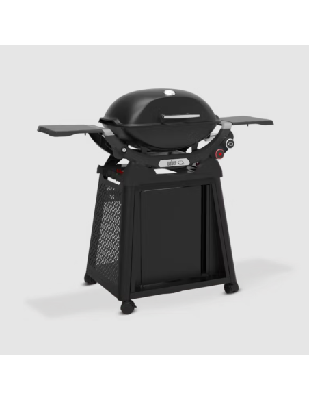 Le barbecue à gaz Q 2800N+ : votre allié pour des grillades réussies !