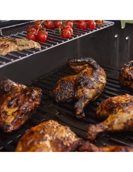 BARBECUE GENESIS E-335 W