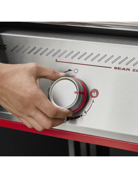 BARBECUE GENESIS E-335 W