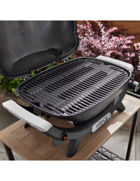 BARBECUE GAZ Q2100N -WEBER